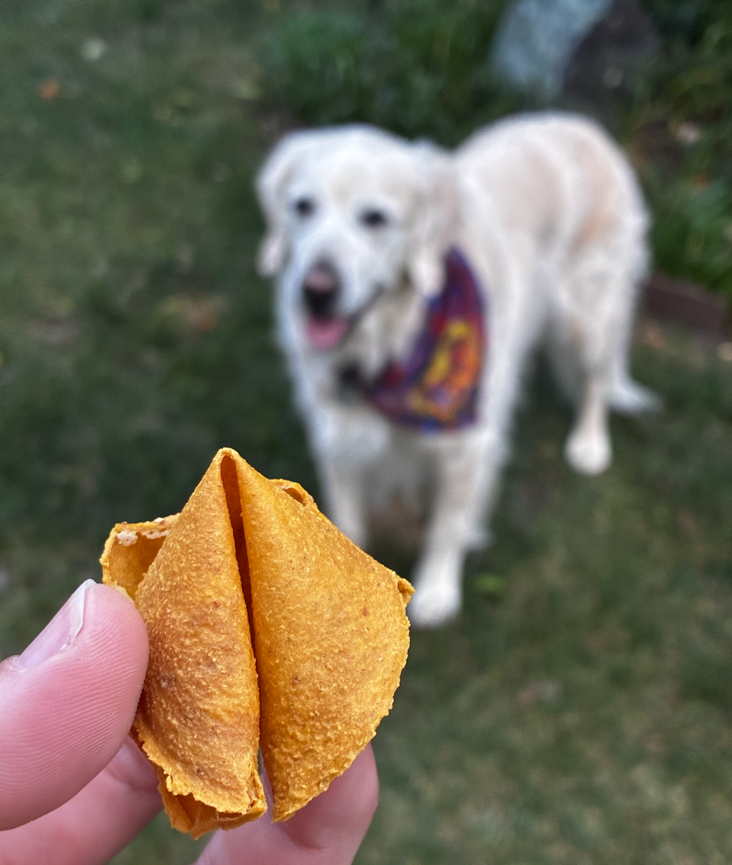 Pawr Suerte: Dog Fortune Treats